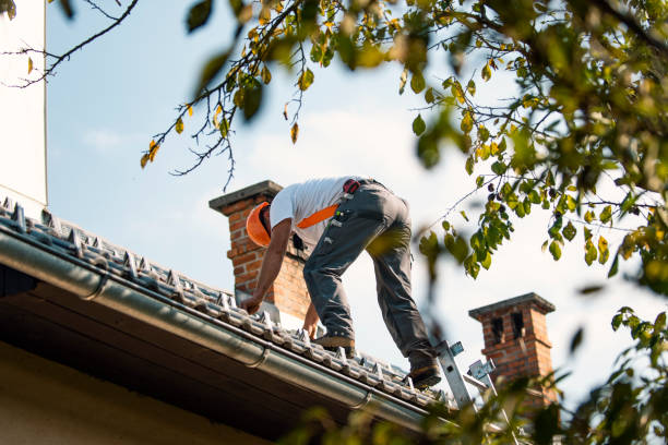 Quick and Trustworthy Emergency Roof Repair Services in Nashville, MI