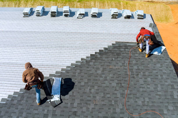 Best Storm Damage Roof Repair  in Nashville, MI