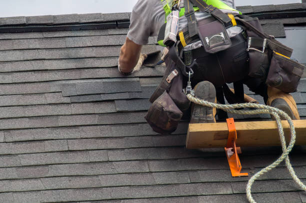 Best Metal Roofing Contractor  in Nashville, MI