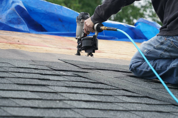 Best Gutter Installation and Roofing  in Nashville, MI