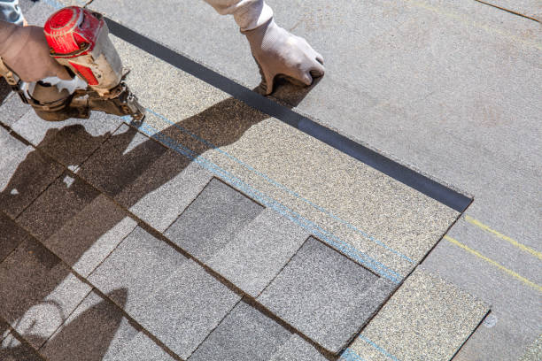 Best Roof Leak Repair  in Nashville, MI